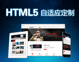 泸州的套餐-HTML5型網站定制