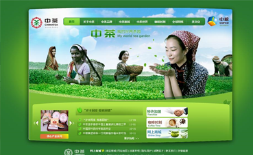 自貢網站建設公(gōng)司黑羽網絡簽約 [中(zhōng)茶集團]